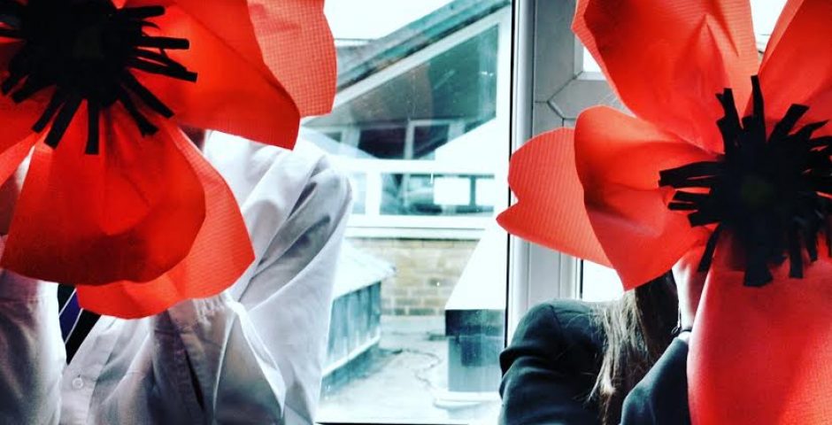 00 poppies made by pupils for the Somme100 commemoration