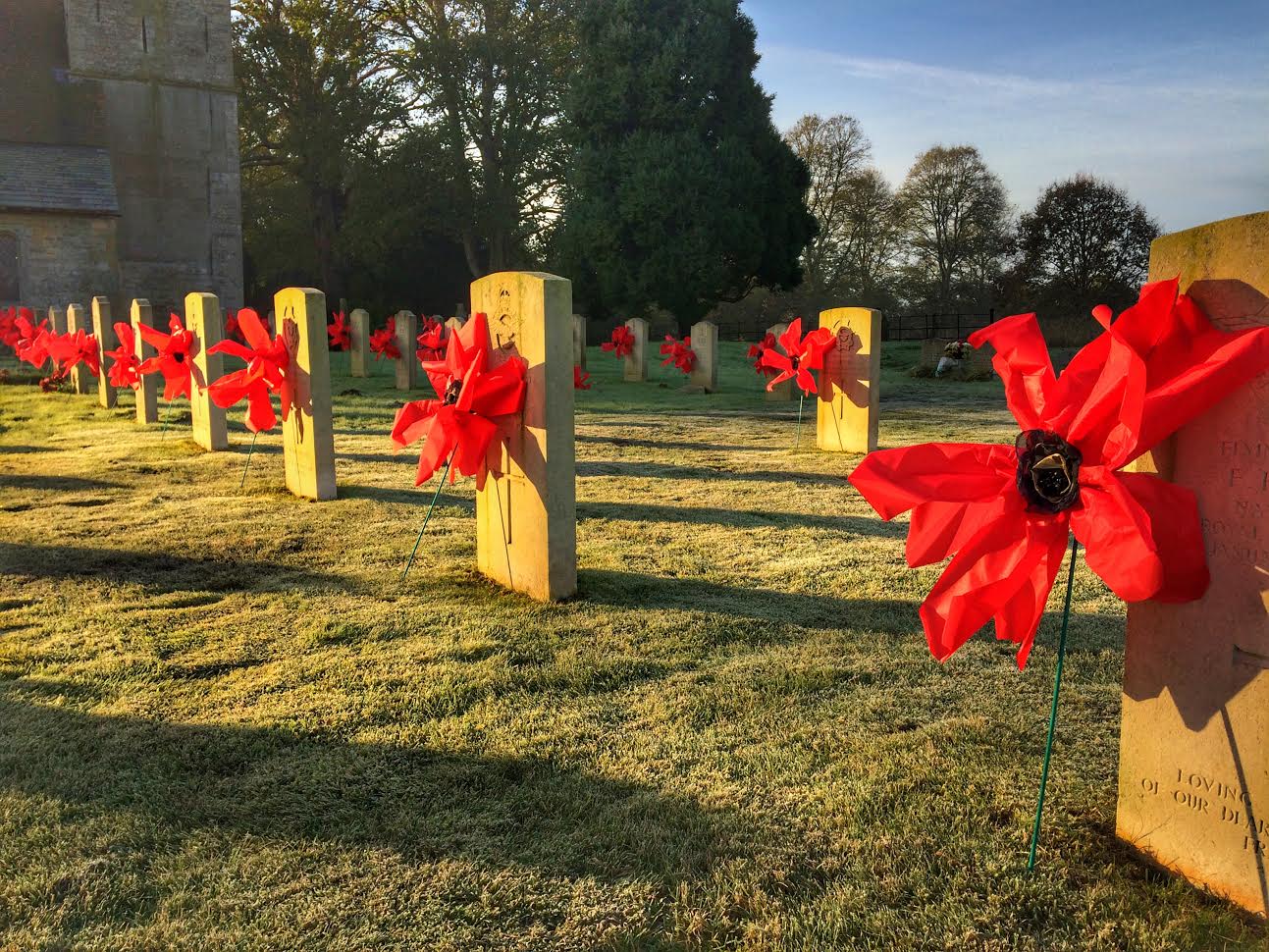 Scampton War Grave Poppies