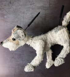 Stanley - Dog puppet for Purple Poppies Film